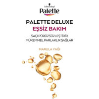 ویژگی کیت رنگ مو پلت سری Deluxe