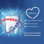 خمیردندان ضد پوسیدگی سیگنال با عصاره نعناع 100 میل