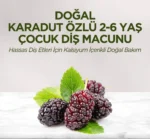 خمیردندان کودک ایوب صبری حاوی عصاره توت سیاه